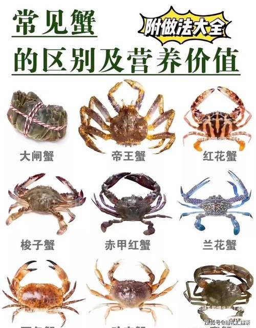 螃蟹的品种