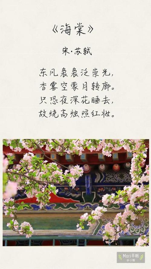 描写海棠的诗句的相关图片