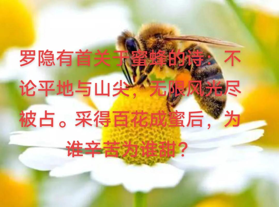 描写蜜蜂的诗句的相关图片