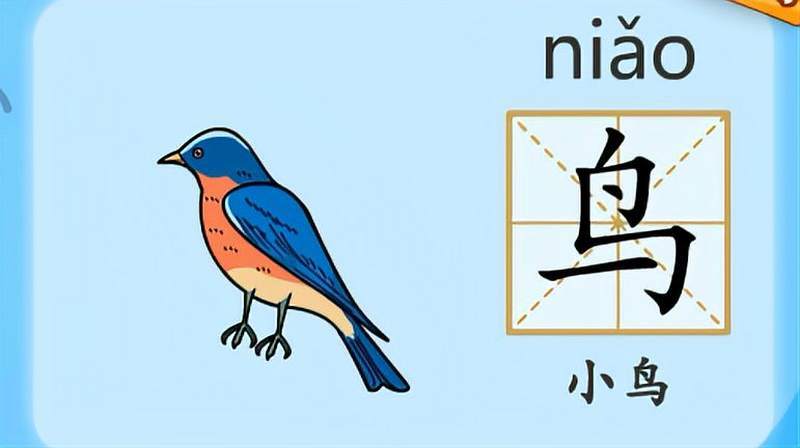 鸟字组词有哪些的相关图片